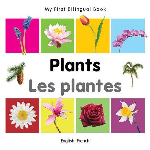 Milet first bilingual - milet,