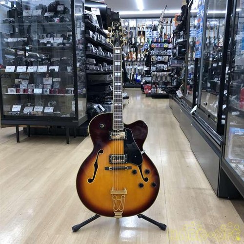 Guitare vantage full hollow - vantage,