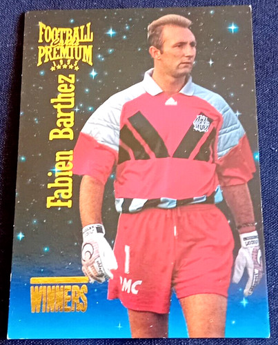 Fabien barthez panini premium - fabien,