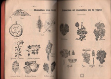 LIVRE ancien le semeur saint gobain 1937 almanach annuaire breviaire cultivateur