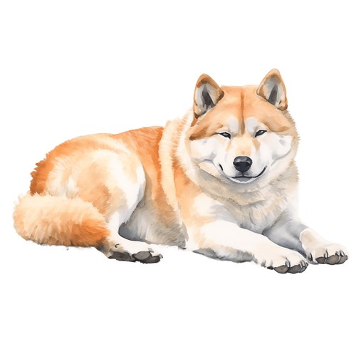 Autocollants akita inu - x,