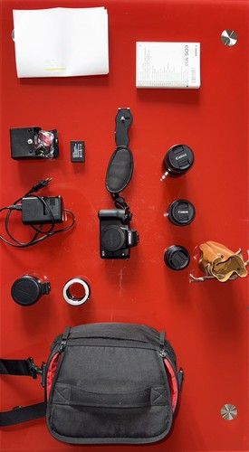 Canon eos m50 mk1 - canon, avec