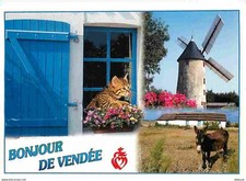 Carte Postale - Animaux -