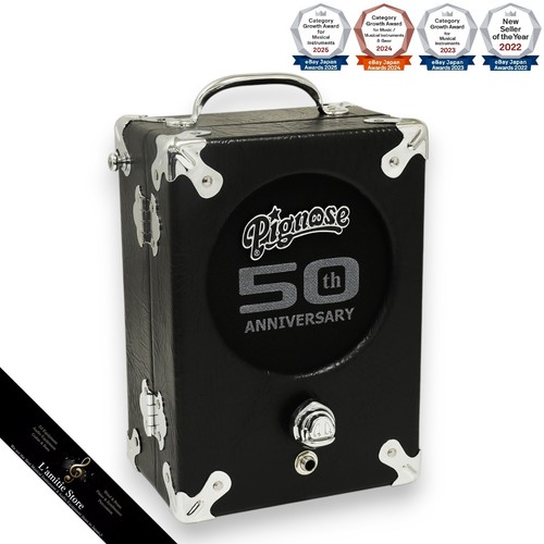 Amplificateur guitare portable