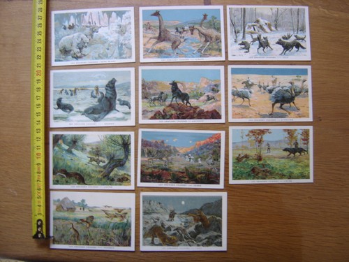 Lot chromo les grandes chasses - grandes,