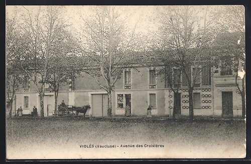Cpa violès avenue des - violès,,