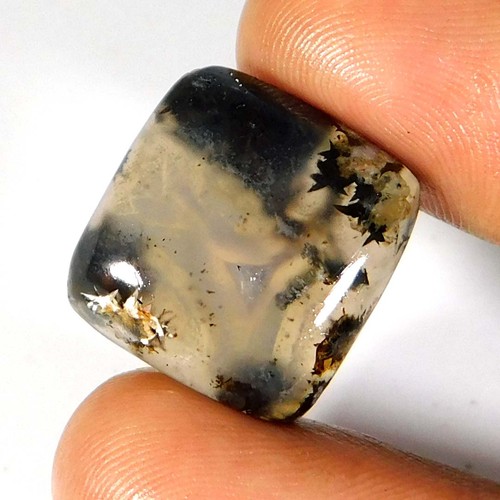 Cabochon coussin agate - , montana