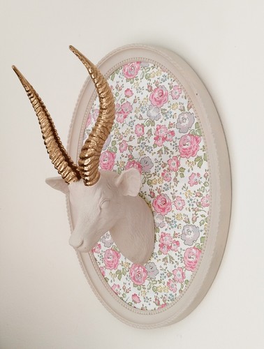 Trophée tête antilope - tête, d'antilope