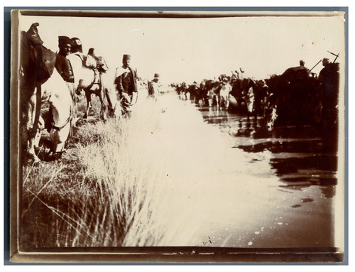 Algérie abreuvoir du - algérie,, l'abreuvoir