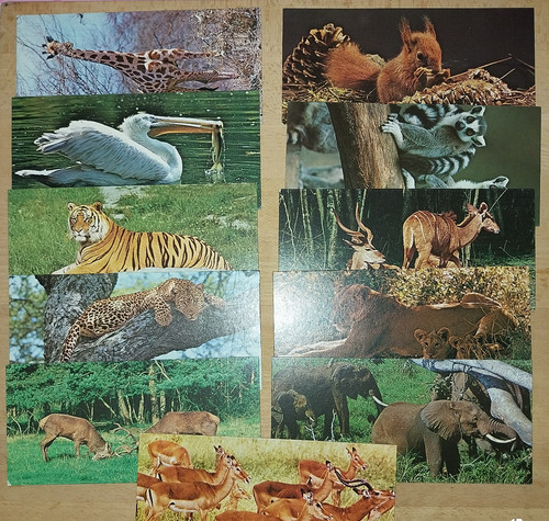 Cartes merveilles monde - 25,