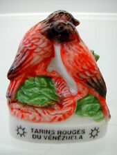 * FEVE - fève Atlas OISEAU TARINS ROUGES DU VENEZUELA