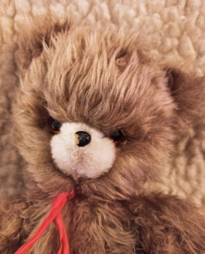 Ours peluche ancien - ,