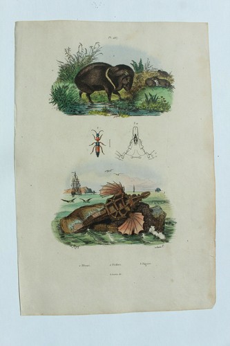 Gravure 1835 dictionnaire - 1835,