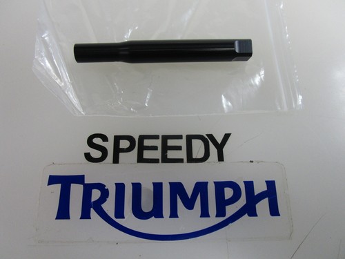 Triumph daytona 675 street - 675,