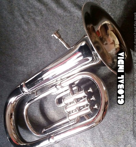 Euphonium valve horn of - horn,