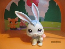 Petshop lapin #1685