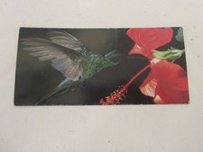 FICHE 359 PHOTO ANIMAUX OISEAU Le COLIBRI - LA FACON de se NOURRIR