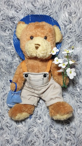 Peluche teddy bear collection - peluche,