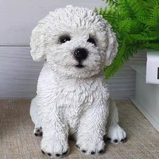 Bichon Frise Chiot Chien