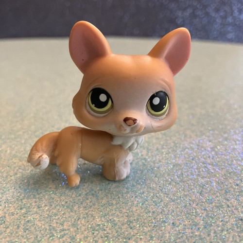 Little petshop lps - ★,