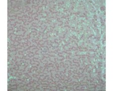 De Luxe Sequin Danse Wear