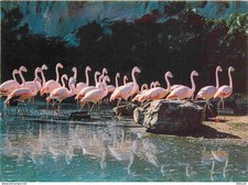 78 - Thoiry - Château de