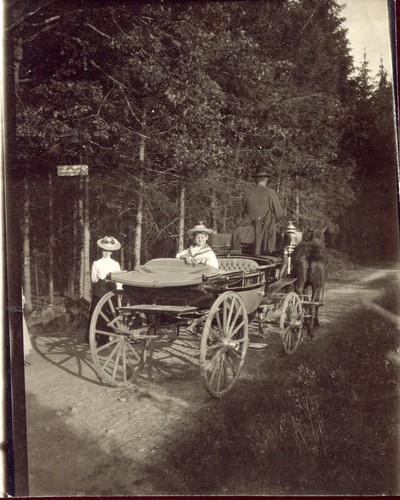 Photo ancienne attelage - photo,