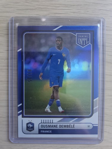 Panini france international - panini,