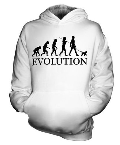 Caniche miniature évolution - caniche,