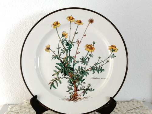 Rare grande assiette - rare, 27