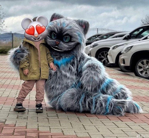 Cheshire cat mascot - cheshire, costume