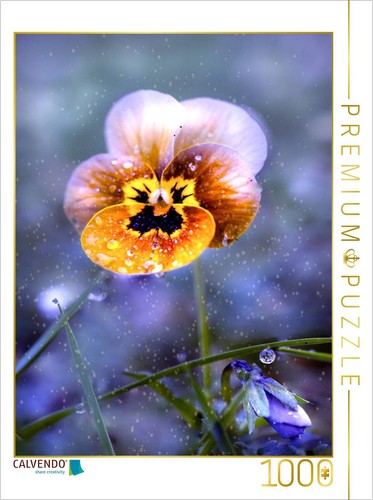Puzzle calvendo violette - puzzle,