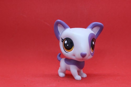 Figurine collection petshop - collection,