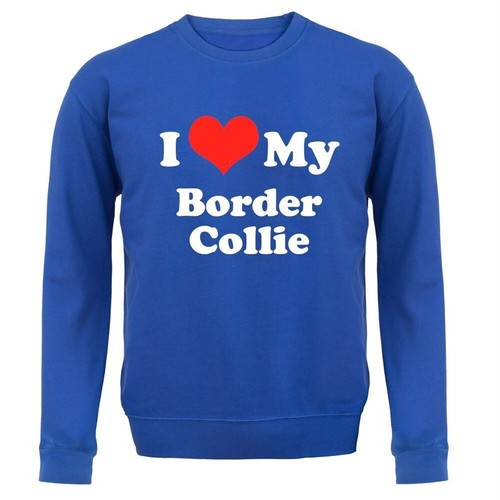 Love border collie - love,