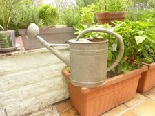 20th Century French Watering Can with Gray patina /  Garden Zinc