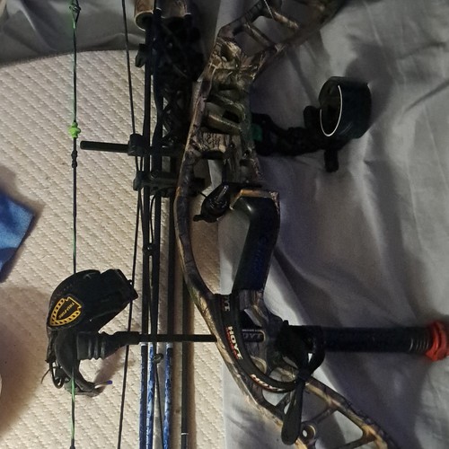 Hoyt compound bow - bow, with
