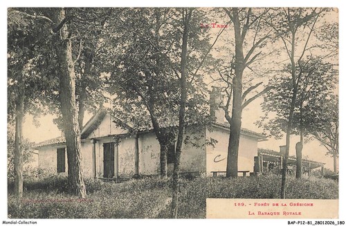 Bapp12 1276 foret de - bapp12-1276-81,
