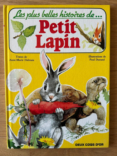 Petit lapin anne marie - ,, anne-marie