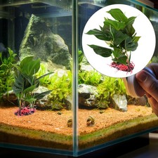  Décoration Aquarium Plantes Artificielle Accessoires De Dragon Barbu