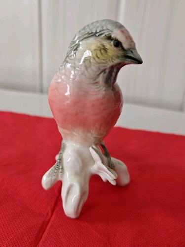 Oiseau porcelaine karl - oiseau,