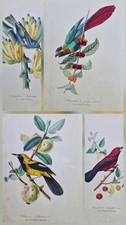  4 Gravures originales 1842
