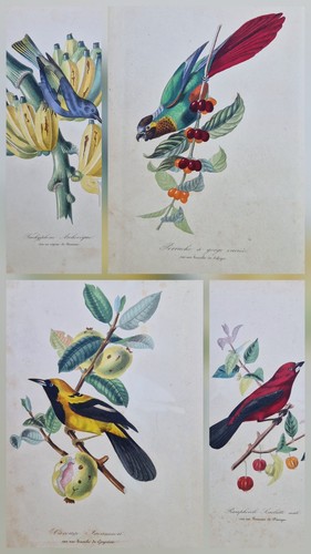 Gravures originales 1842 - 4,