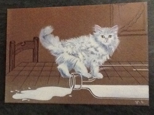 Illustree glacee chat - cp,