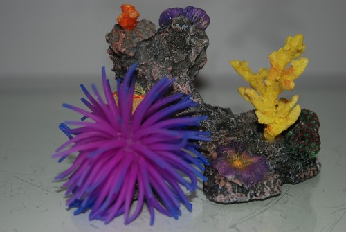 Décoration aquarium parc - décoration,