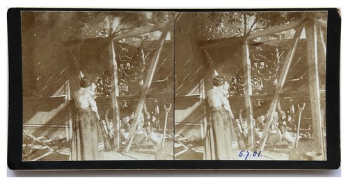 Poulailler 1901 photo - poulailler,