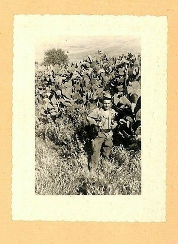 Guerre algerie photo - d',