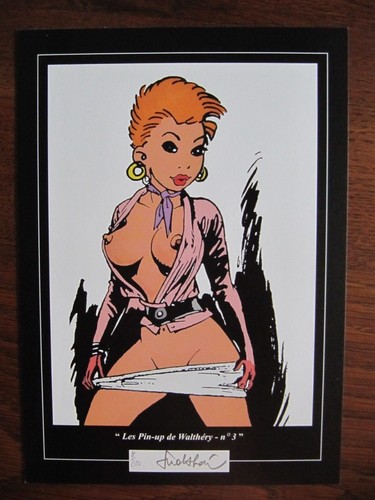 Libris walthéry pin up - walthéry, --