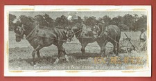 Rare beauce les - rare,,