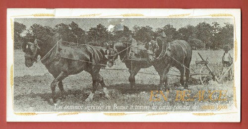 Rare beauce les - beauce,,