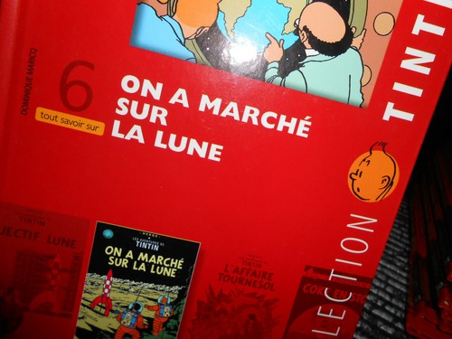 Tout savoir sur tintin - savoir,
